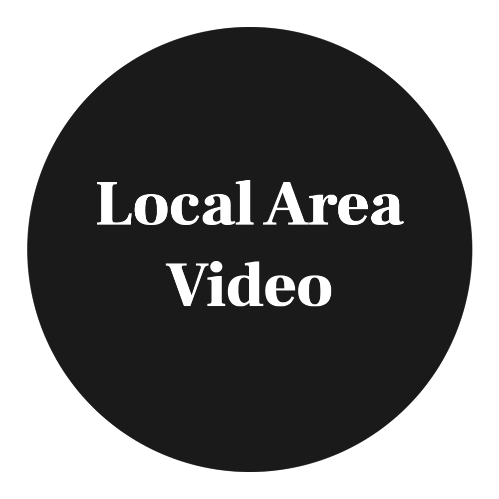 Local area video link