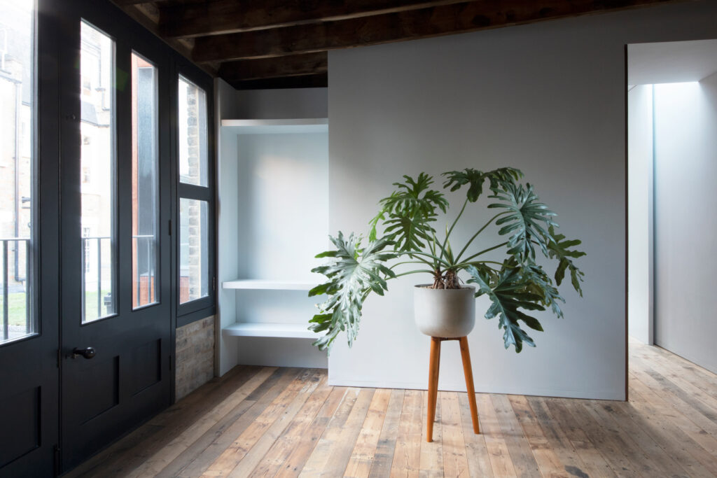 Interior photography modern room and plant